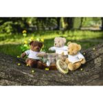 Plush teddy bear | Siddy Honey - Image 4