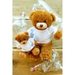 RPET plush teddy bear | Denis R - Image 2