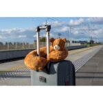 Plush teddy bear, travel pillow | Triperd - Image 2