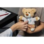 Plush teddy bear | Dreamerty - Image 3