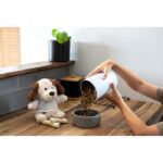 Plush dog | Sneeffy - Image 3