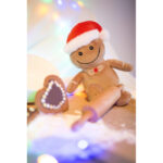 Plush gingerbread man | Pebbles - Image 2