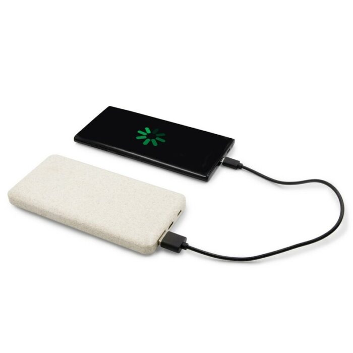 axpol-V0725-0-V0725-00_AAA01.jpg Wheat straw power bank 8000 mAh | Jenkins - Image 1