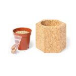 Cork pot, pine seeds - Image 3