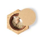 Cork pot, pine seeds - Image 4