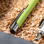 Wheat straw ball pen