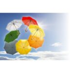 Automatic umbrella | Hayden - Image 3