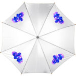 Automatic umbrella - Image 2
