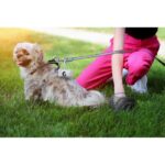 Waste bag dispenser for dog excrements