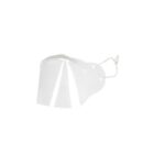 Nose and mouth shield