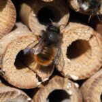 Insect hotel LUDOVICA - Image 4