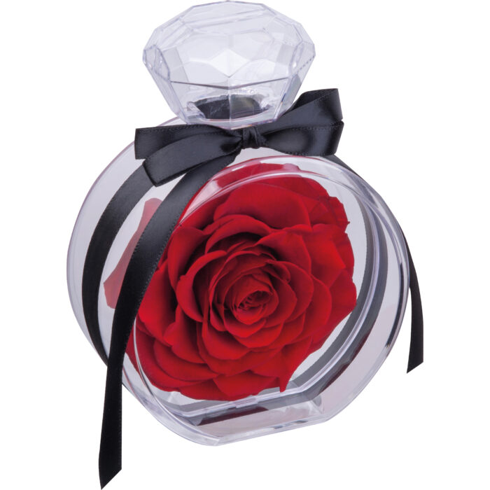 macma-75427-0-roza-dekoracyjna-marcella-7542705.jpg Decorative rose MARCELLA - Image 1