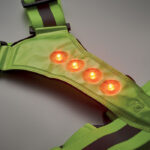 ROUNDVISIBLE - Image 7