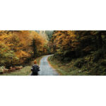 BRENNA - Image 12