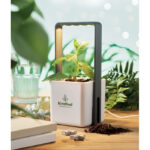 LUSHLET - Image 3