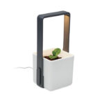LUSHLET - Image 7