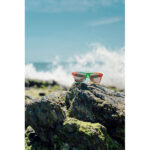 BOREA - Image 4
