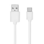 RAPID - Image 10