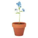 FORGET ME NOT - Image 5