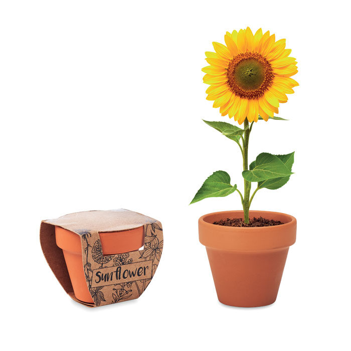 midocean-MO6147-0-mo6147-40.jpg SUNFLOWER - Image 1