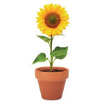 SUNFLOWER - Image 5