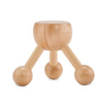 ASSA - Image 3