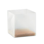 MINT - Image 2