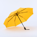 Active Set: termosas vandens butelis 500 ml ir automatinis skėtis - Image 4