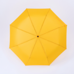 Active Set: termosas vandens butelis 500 ml ir automatinis skėtis - Image 5