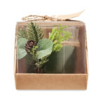 FOREST - Image 2